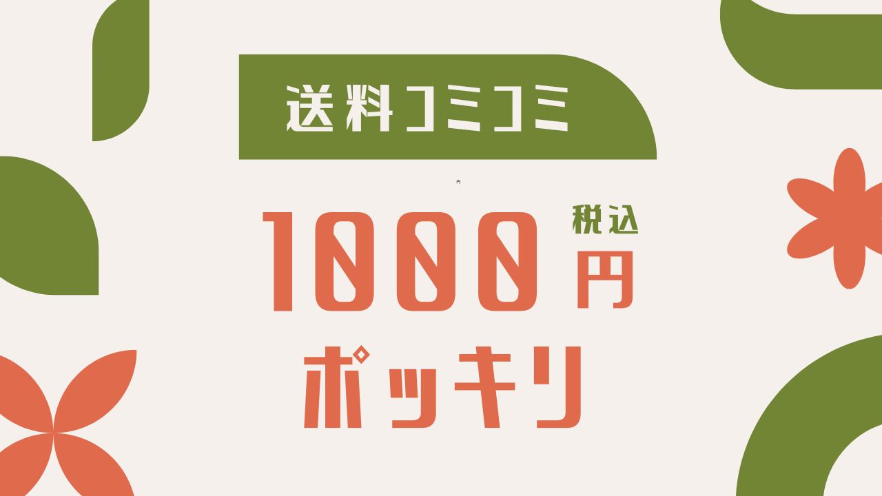 1000円ポッキリ商品