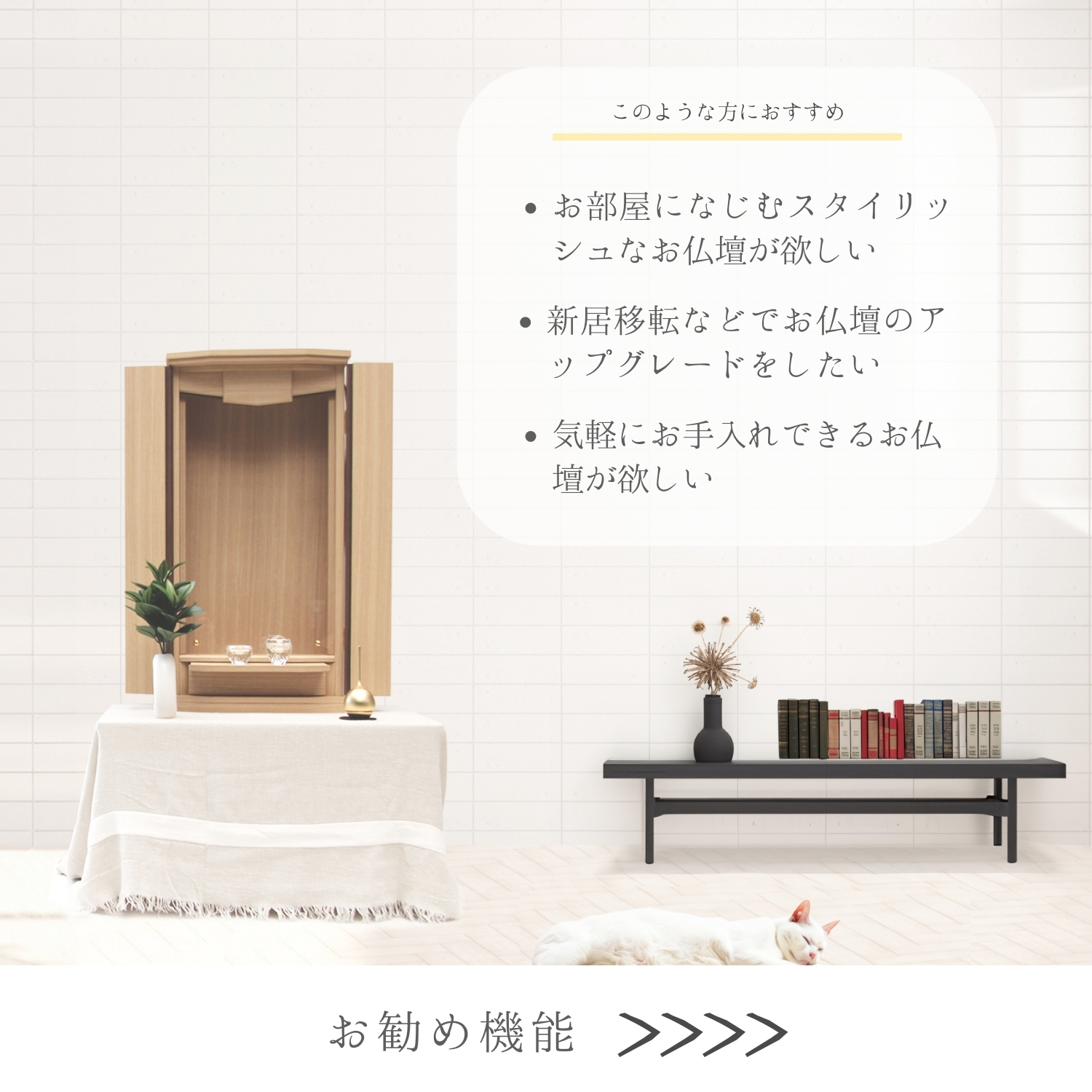 イレイン商品画像