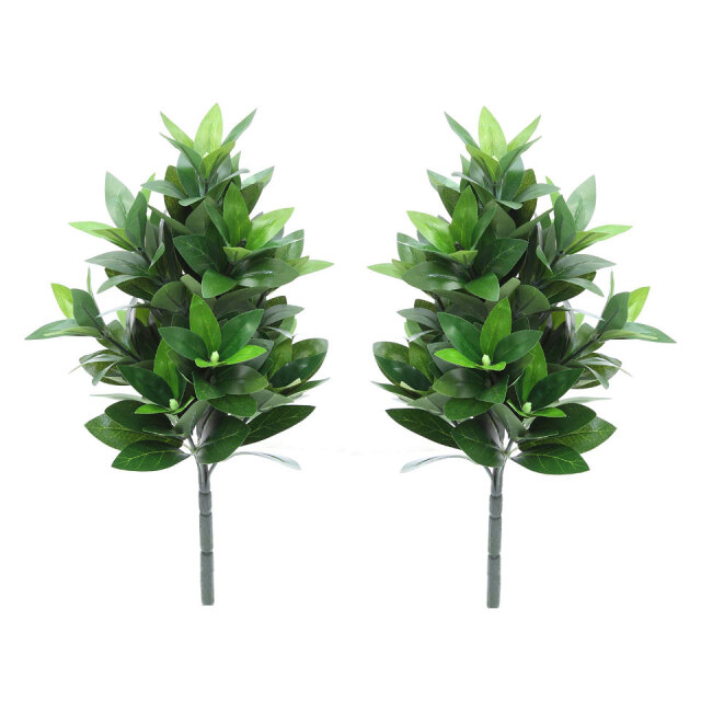 Amazon用日本製しきみ