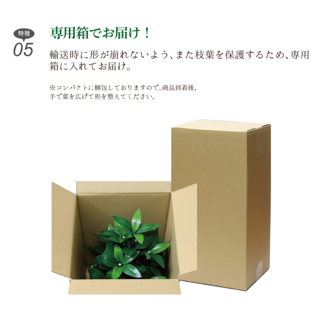 サンプル